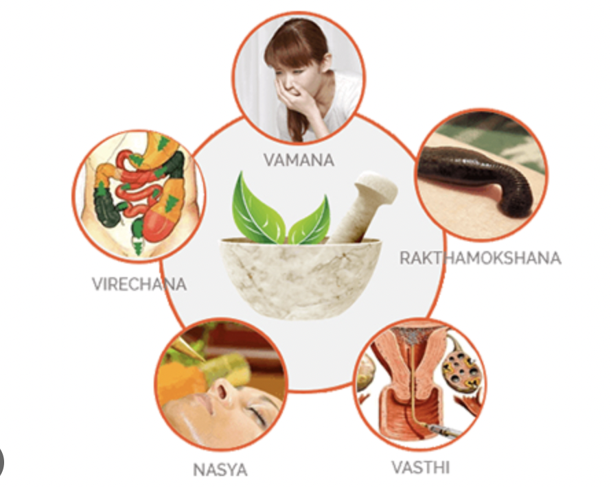 Pain Management & Panchkarma Treatment